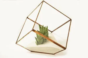 5.9" Geometric Planter Glass Terrarium Vase(gold)  JT-T1020- GEO1-3