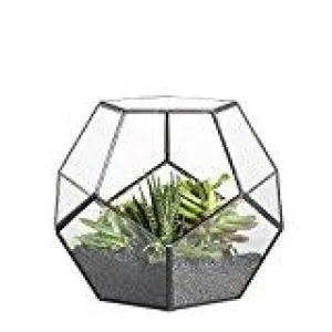 Geometric 7.8" Planter Glass Hexagon Ball Terrarium Vase (Black)  -1